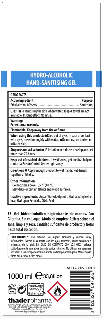 78865-3809-8 TH GEL SANITIZER BACK.jpg 1000 mL Back Label - 78865 3809 8 TH GEL SANITIZER BACK